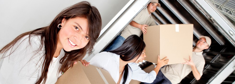 Professional Removalists Learmonth VIC
